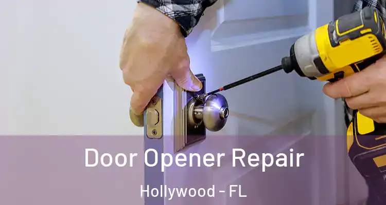  Door Opener Repair Hollywood - FL