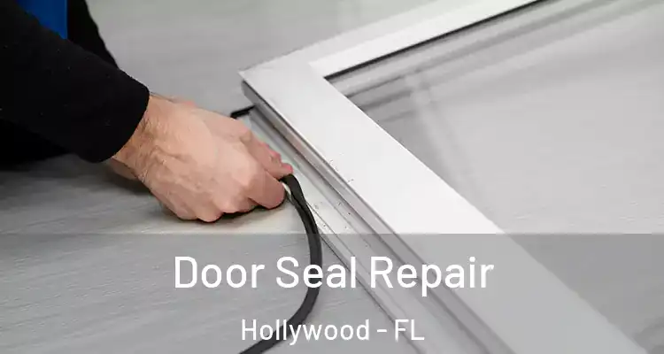  Door Seal Repair Hollywood - FL