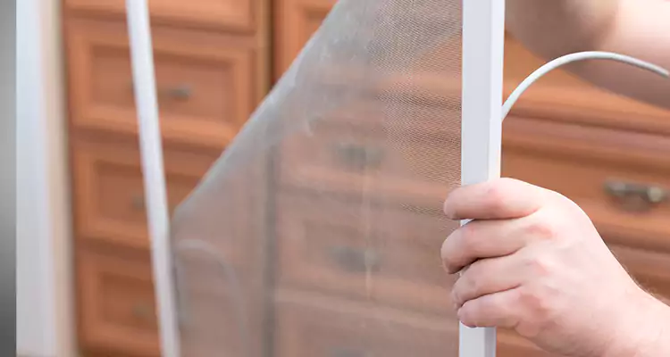 Privacy Mesh Screen Door Installation in Hollywood, FL