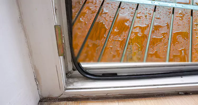 Water Leaking Wooden Patio Doors Repair in Hollywood, FL