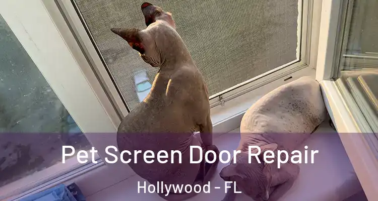  Pet Screen Door Repair Hollywood - FL