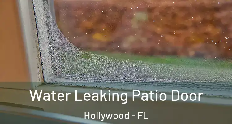  Water Leaking Patio Door Hollywood - FL